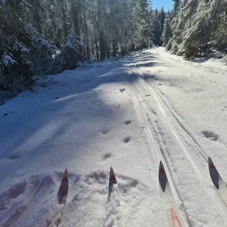 شاليه Charmantes Am Waldrand