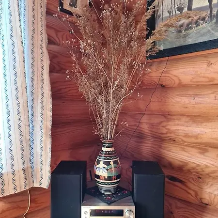 Charmantes Am Waldrand شاليه