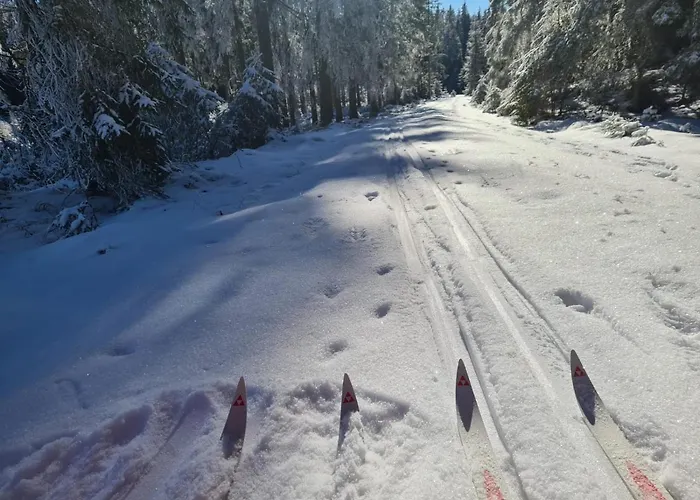 Domek alpejski Charmantes Am Waldrand