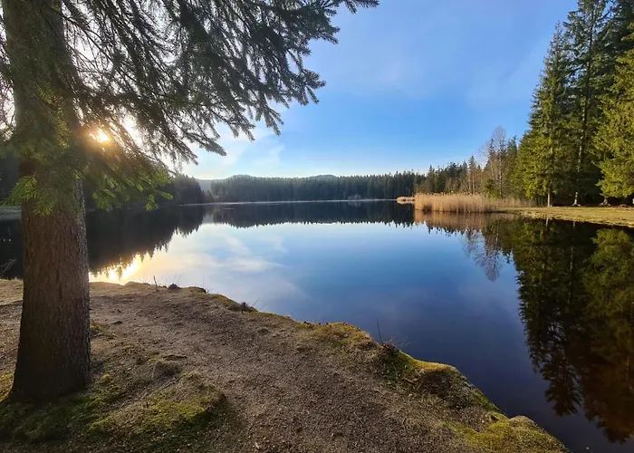 Charmantes Am Waldrand *